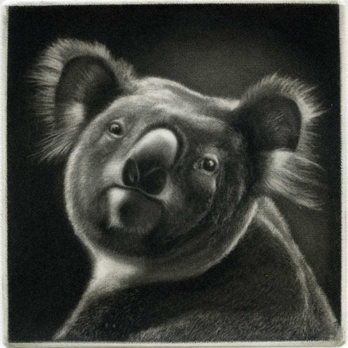 KoKo le Koala manière noire 10 x 10 cm