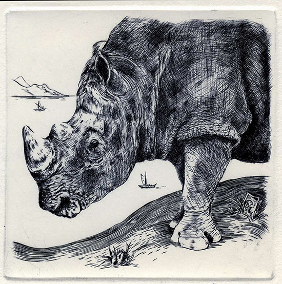 Rhinocéros - Burin 10 x 10 cm